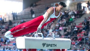 serie a1 ph simone ferraro sfa06145 copia